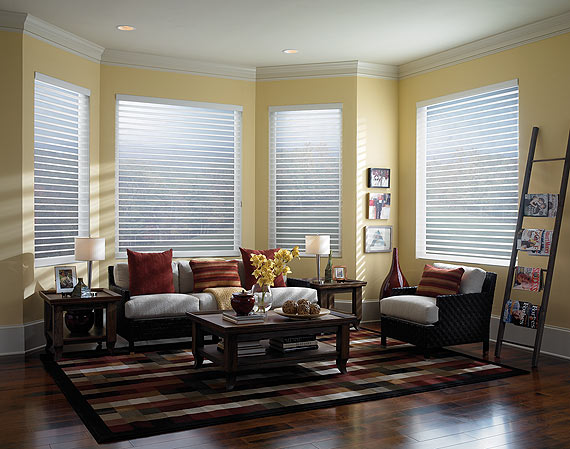 window_shades_02_related